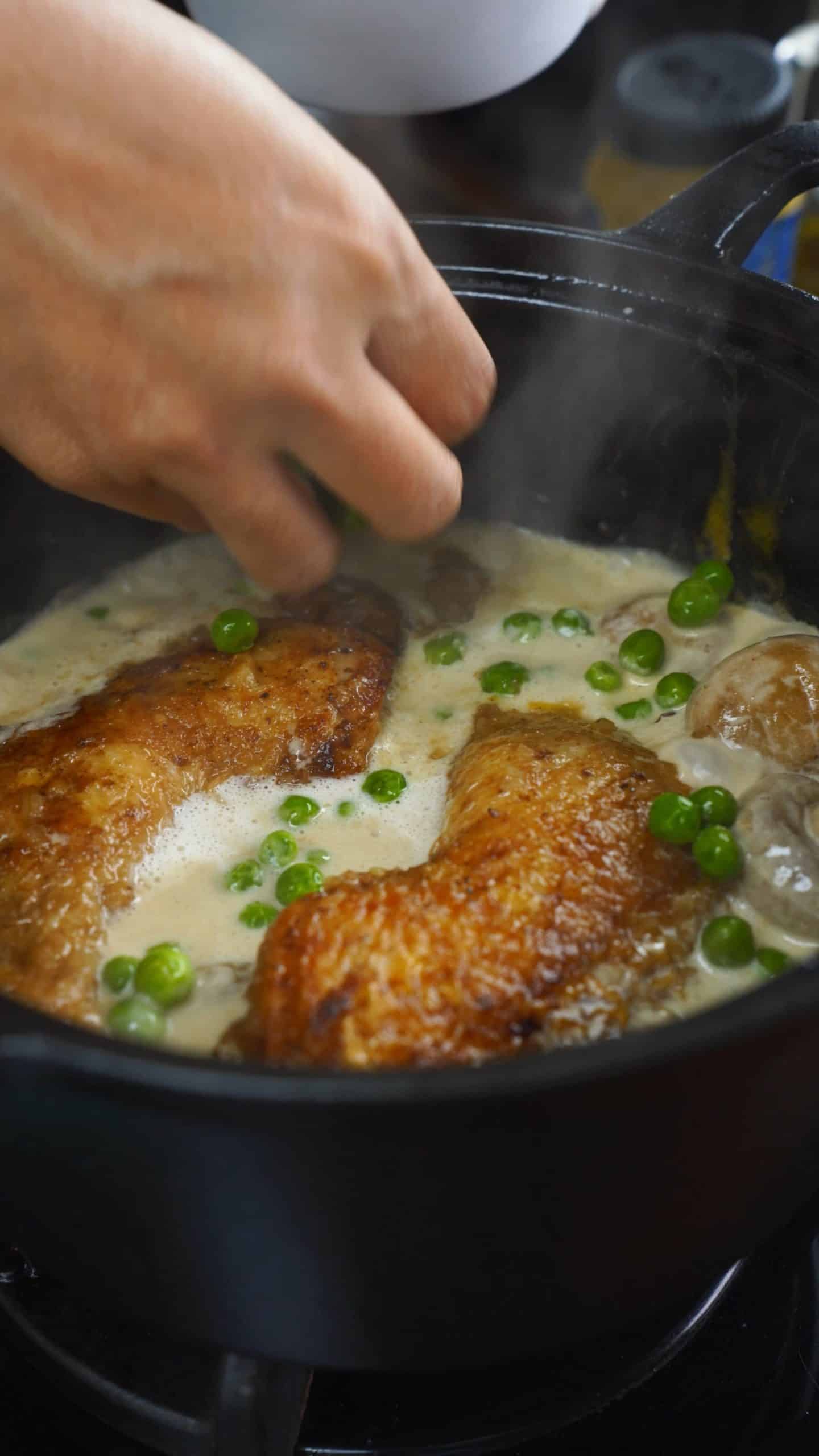 Fricassé de frango à francesa Receita 9x16 4K-0005