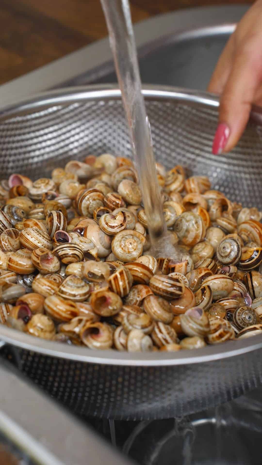 Caracóis Receita 9x16 4K-0004